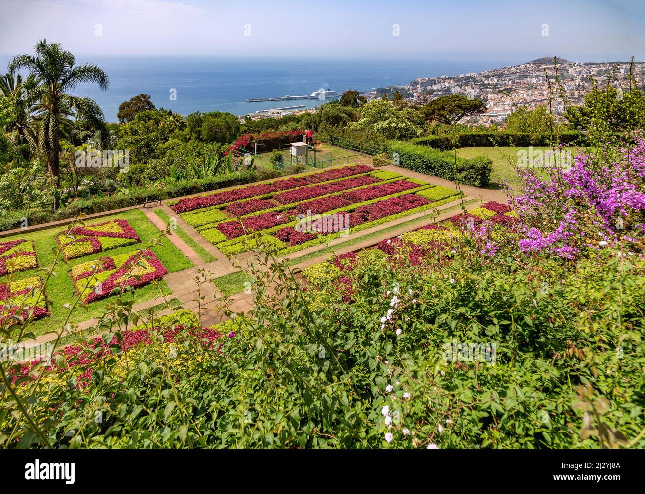 Botanischer Garten Madeira, Funchal Stockfoto