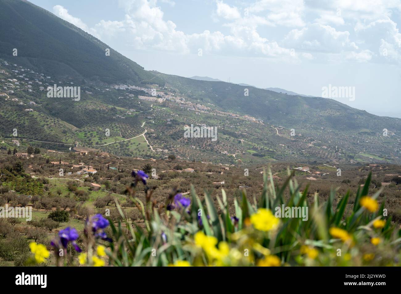 Frühling in der Sierra de Tejeda Gebirge in der Nähe von Malaga, Andalusien, Spanien Stockfoto