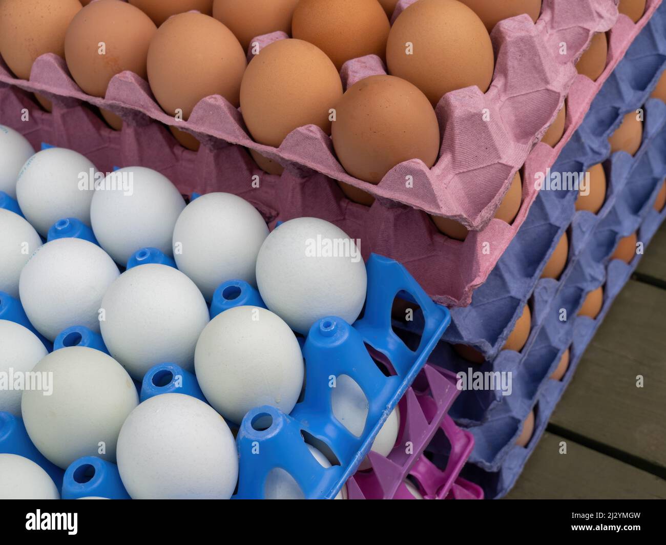 Braune und weiße Eier auf dem Marktstand, England, Großbritannien. Frisch vom Bauernhof. Stockfoto