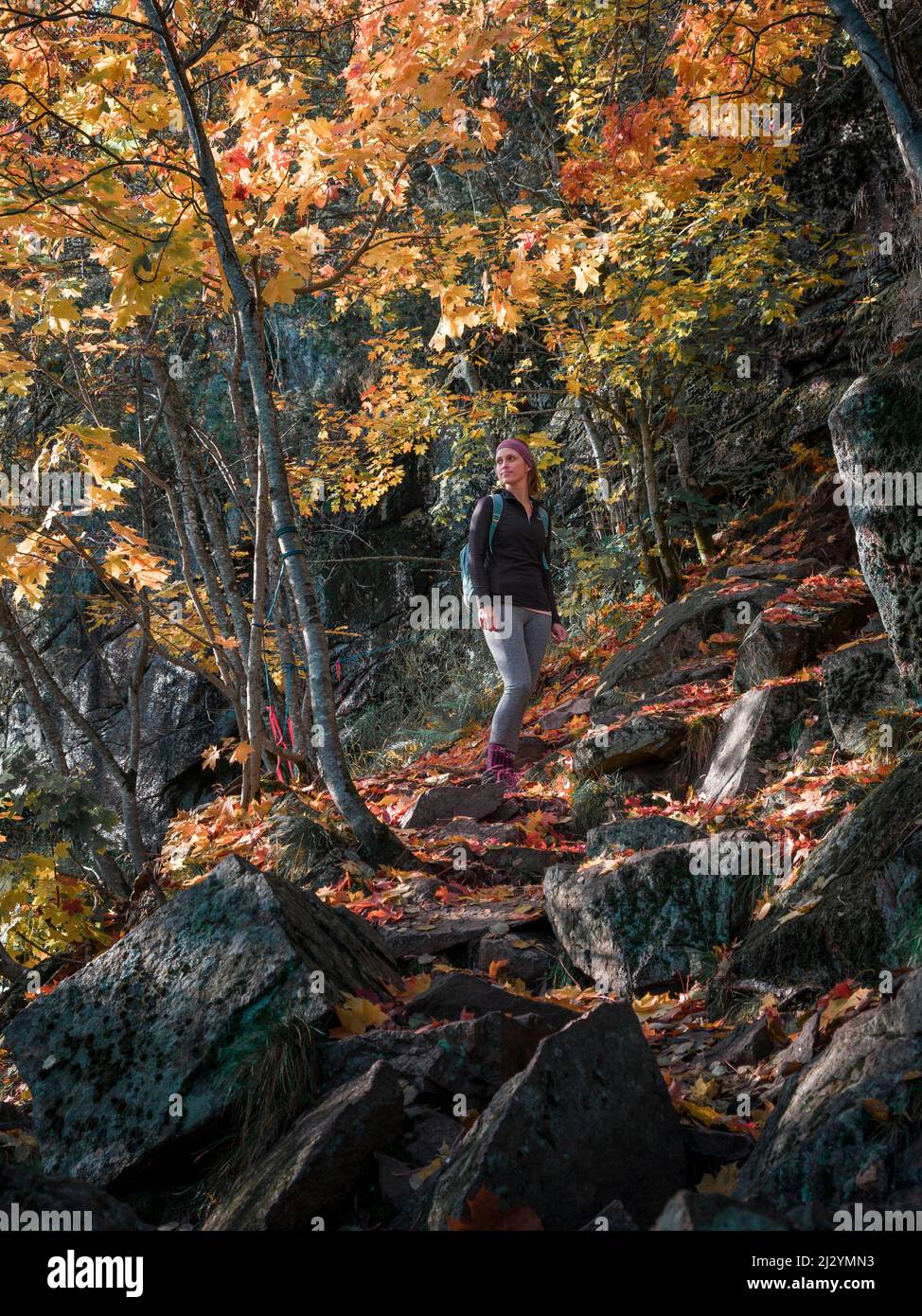 Frau beim Wandern im Herbstwald auf dem Berg Skuleberget in Höga Kusten in Ostschweden Stockfoto