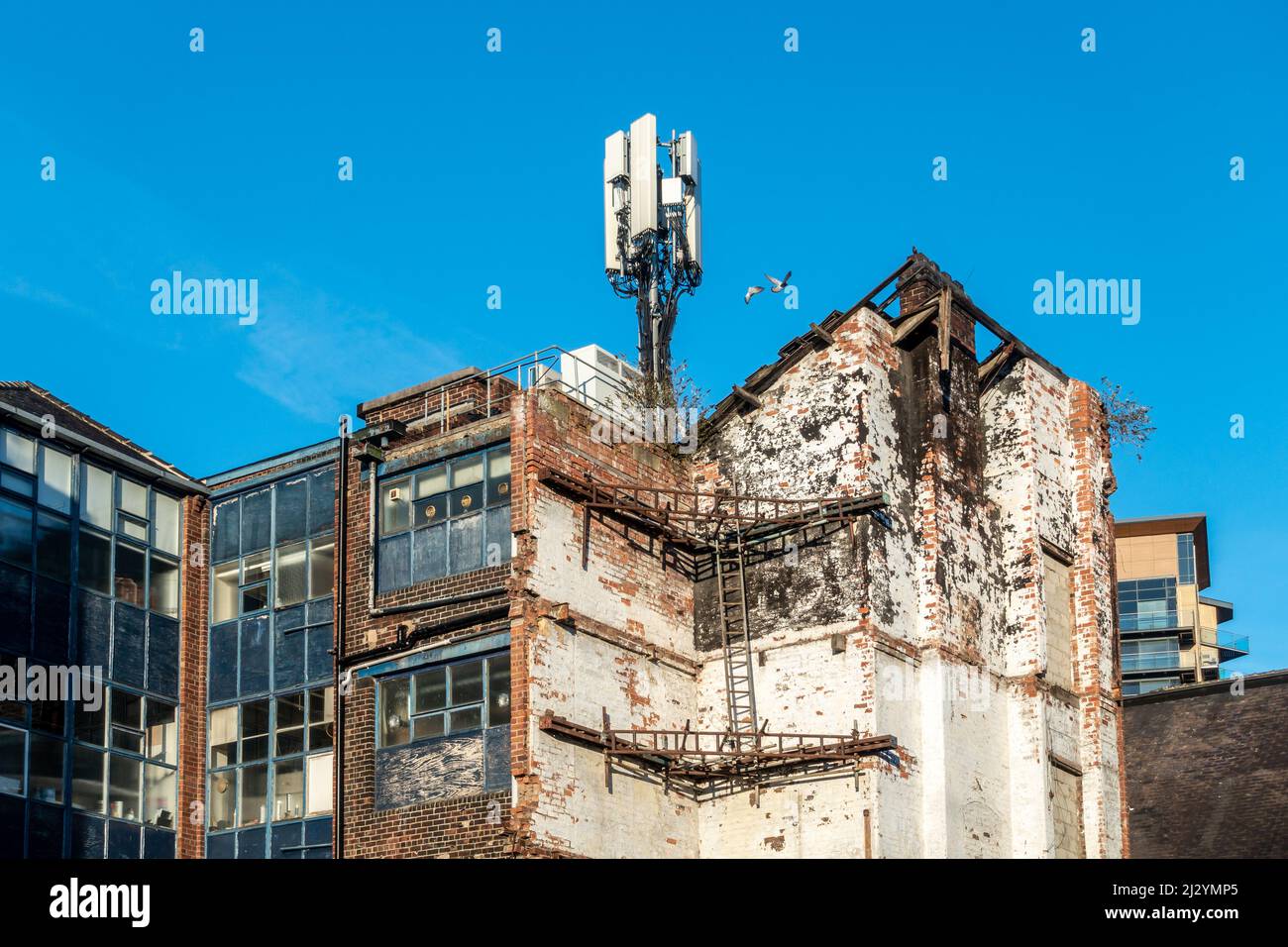 Altes und neues Konzept: Blick auf den städtischen Verfall und die Mobilfunk-Antennen auf dem Dach eines Bürogebäudes. 5G High-Speed-Internet Stockfoto