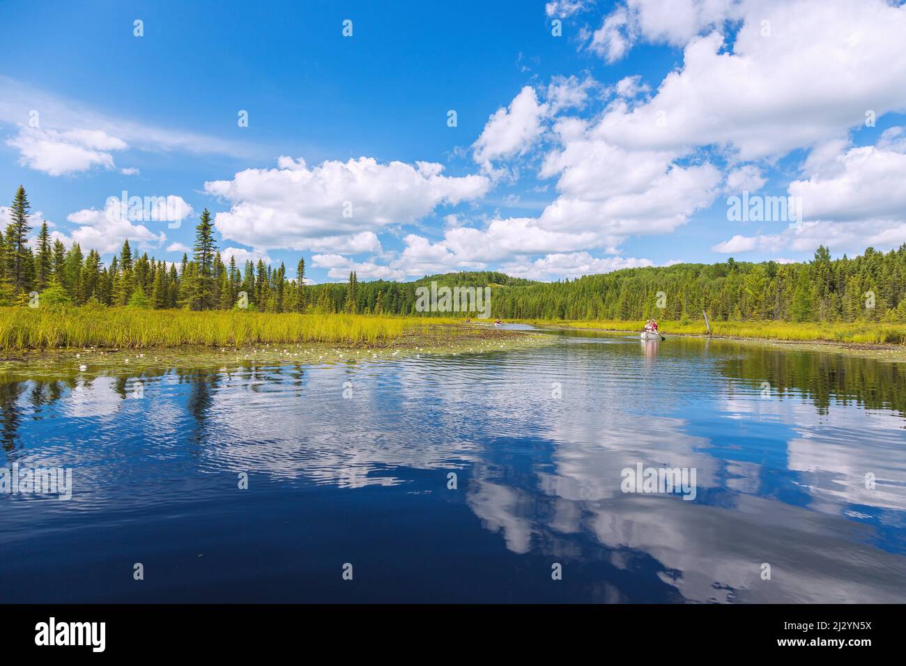 Algonquin Provincial Park, Opeongo Lake, Kanus Stockfoto