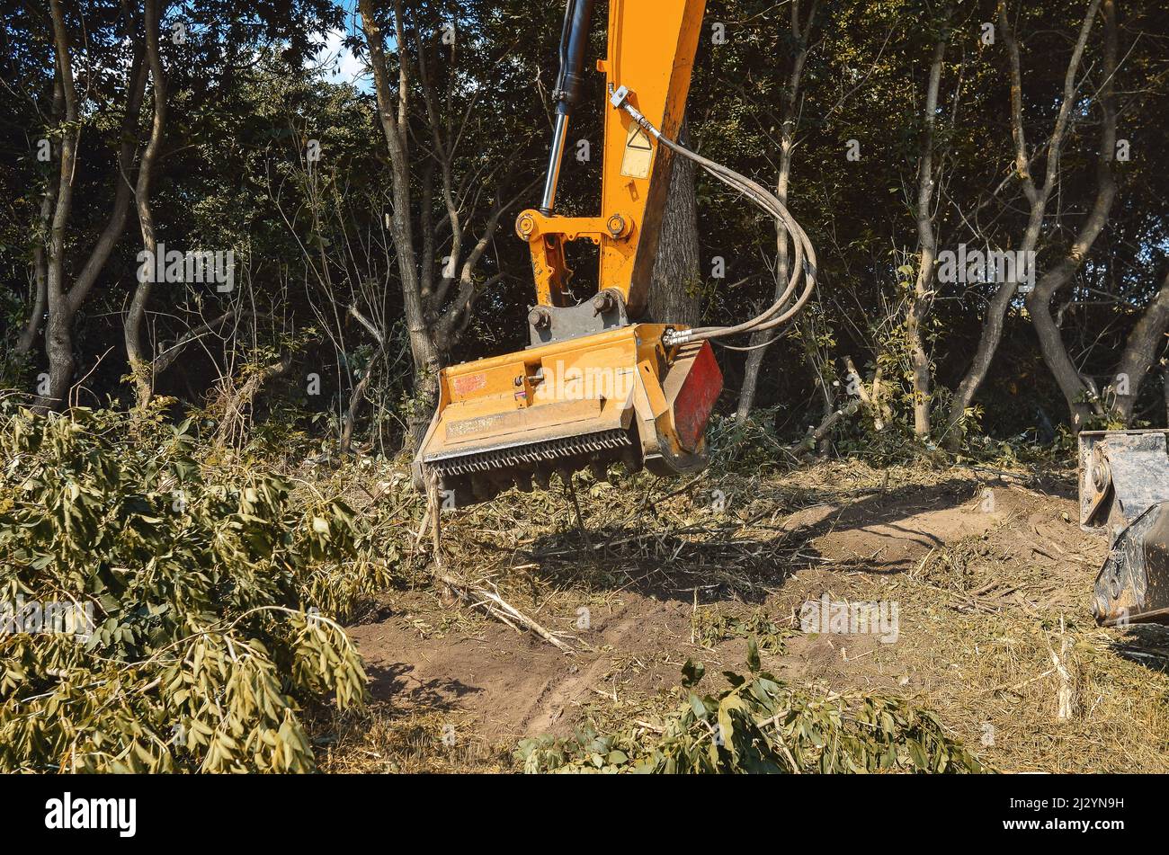 Verbesserung der Umwelt. Mulcher. Verarbeitung von Ästen und Unkraut. Stockfoto