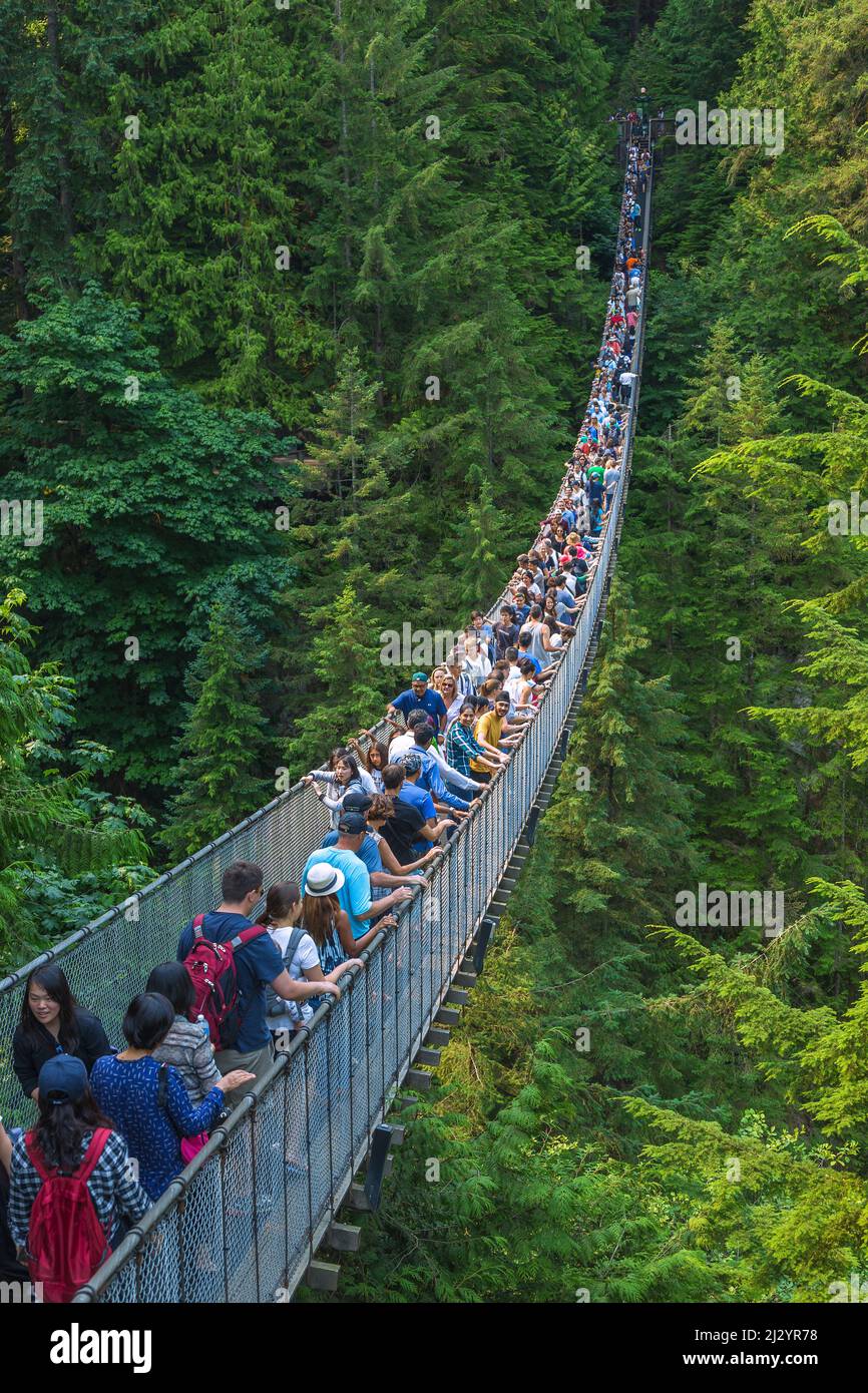 Vancouver, North Vancouver, Capilano Suspension Bridge Stockfoto