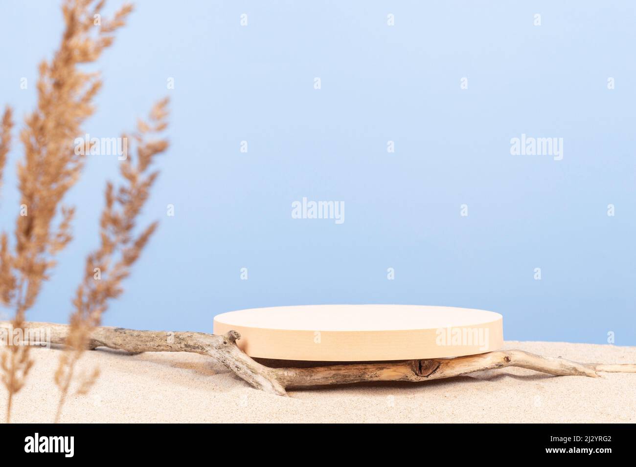 Rundes beigefarbenes Podium, trockene Baumzweige auf weißem Strandsand mit trockener gebogener Pflanze im Vordergrund. Minimaler kreativer Hintergrund für die Komposition Stockfoto