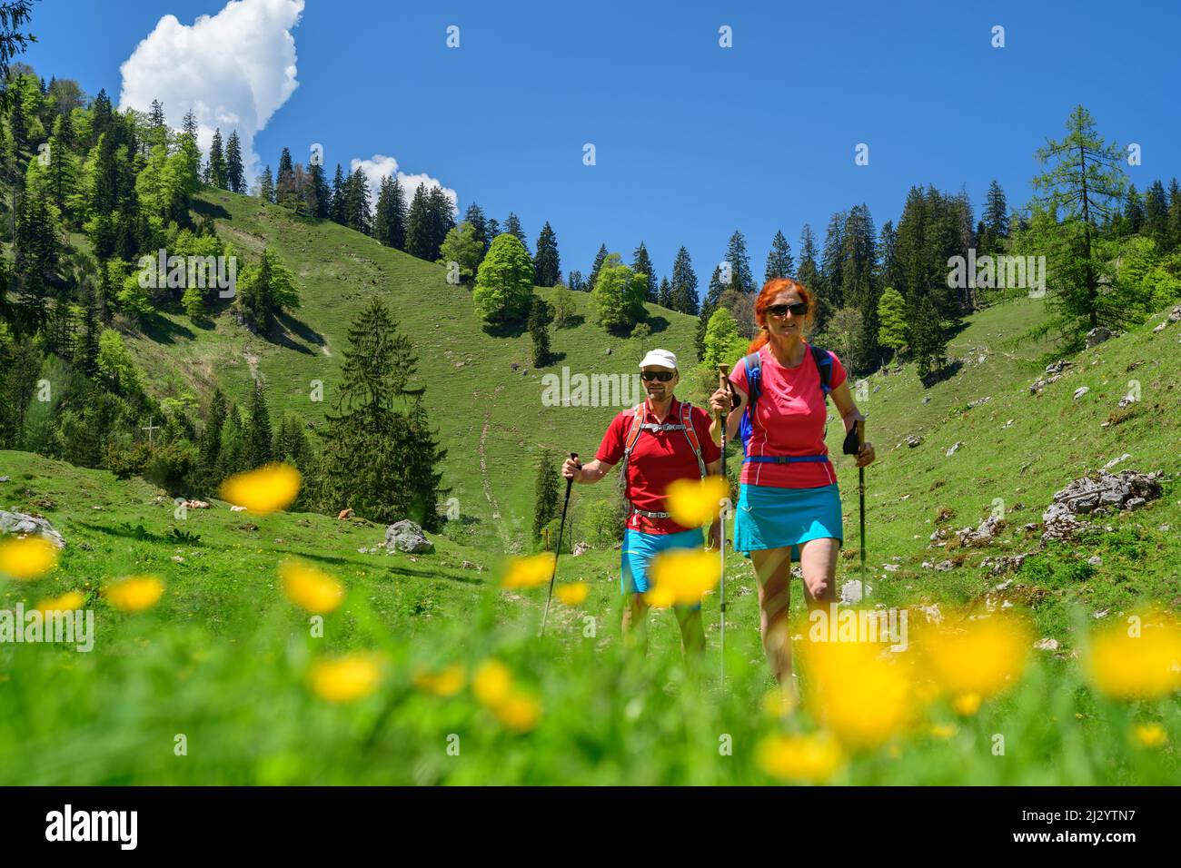 Mann und Frau wandern auf dem Salzalpensteig durch Blumenwiese, Hochgern, Chiemgauer Alpen, Salzalpensteig, Oberbayern, Bayern, Deutschland Stockfoto