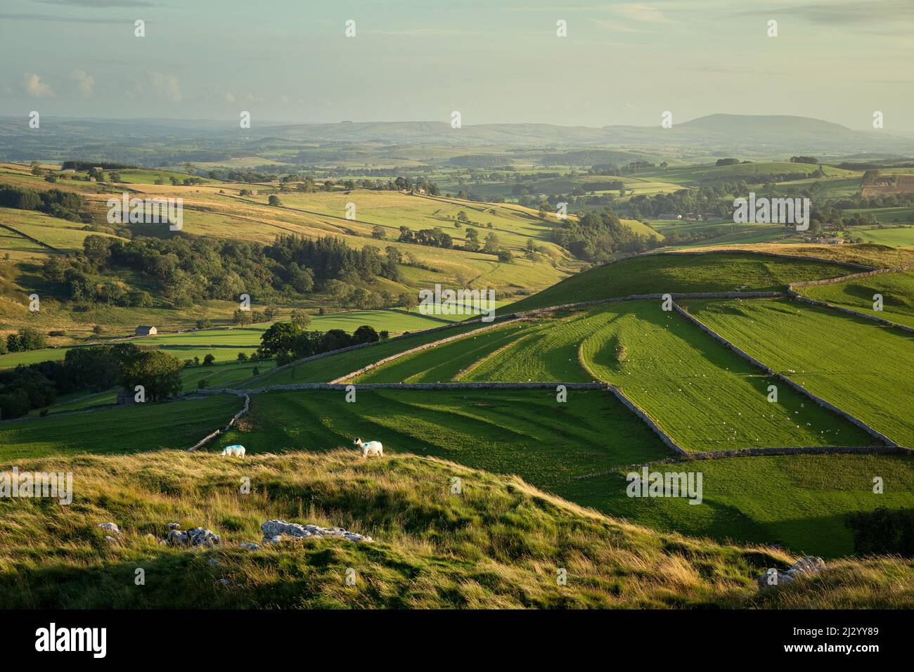 Blick auf ein Tal in der Nähe von Malham in Yorkshire Dales Stockfoto