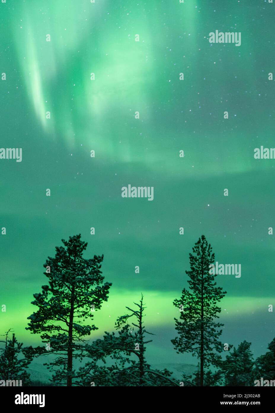 Nordlichter, Nordlichter, Muonio, Lappland, Finnland Stockfoto