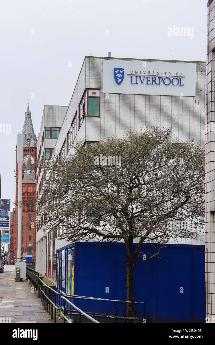 University of Liverpool, Brownlow Hill Stockfoto