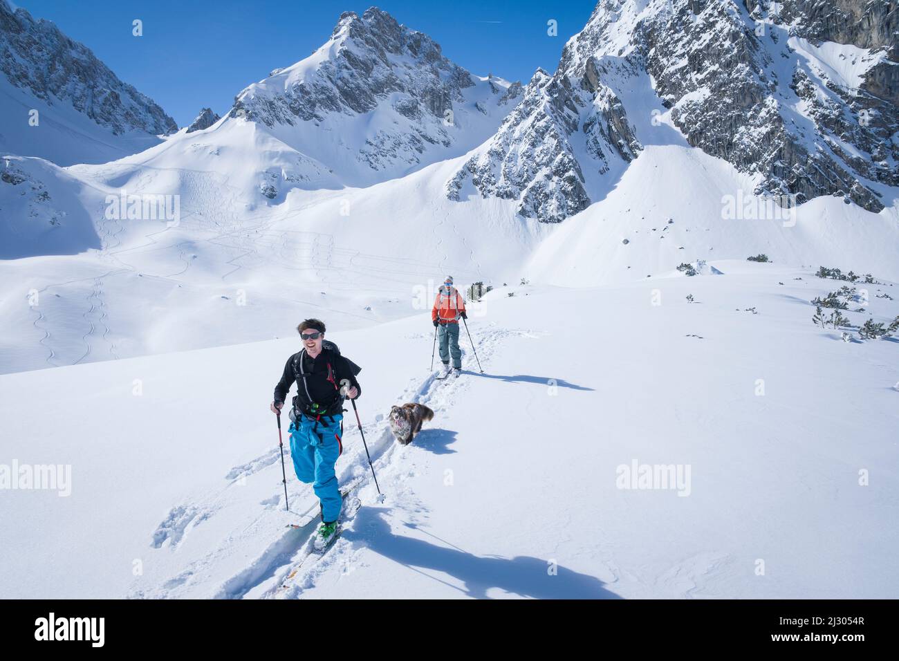 Skitourengeher mit Hund ziehen im Tiefschnee eine Aufstiegsstrecke zum Tajakopf in Ehrwald, blauer Himmel bei Sonnenschein Stockfoto