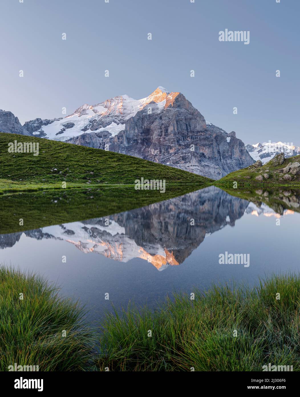 Wetterhorn in Hornseewli, Grosse Scheideck, Grindelwald, Berner