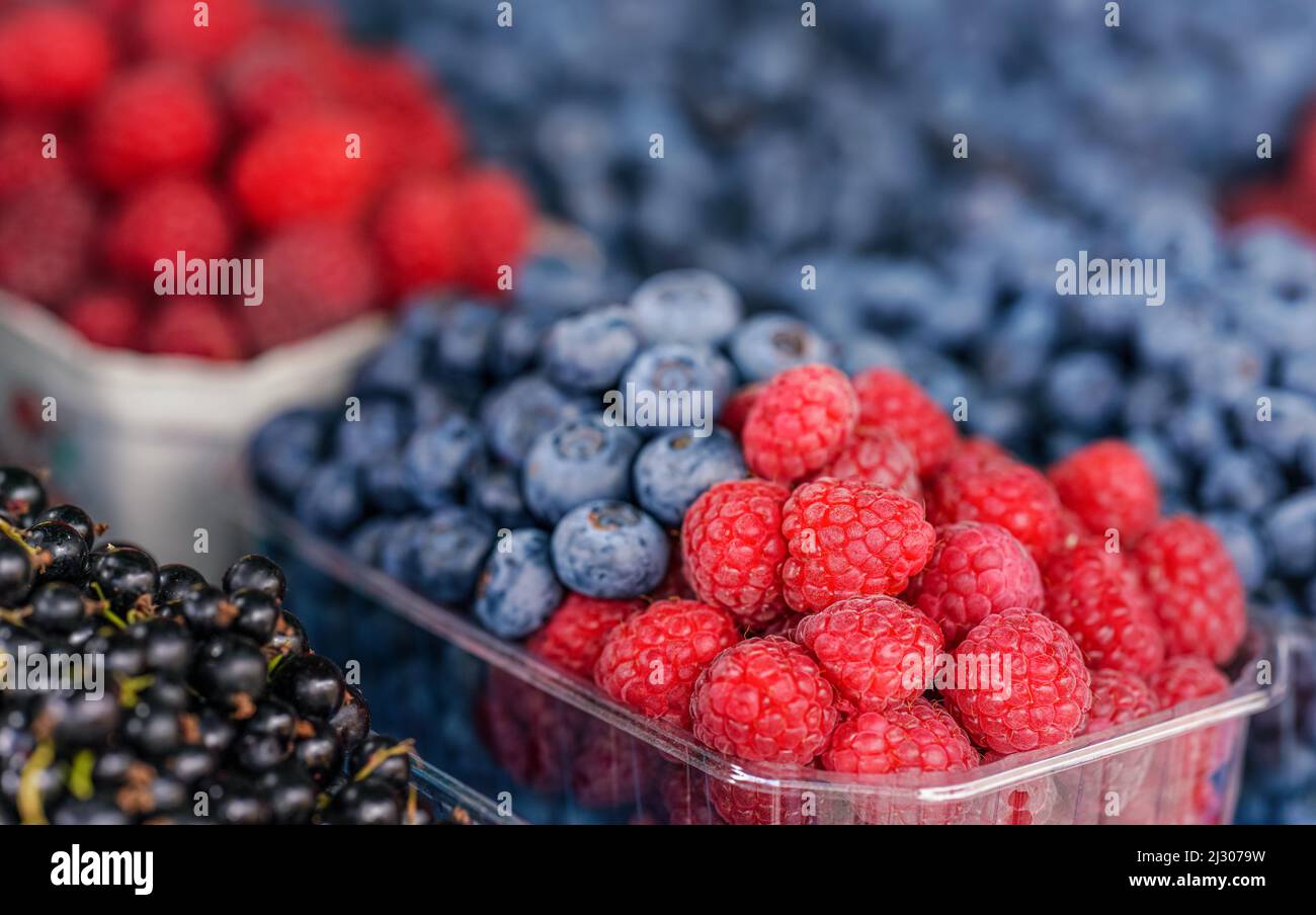 Kleine Plastikboxen mit Heidelbeeren und Himbeeren auf dem Lebensmittelmarkt, Detailansicht Stockfoto