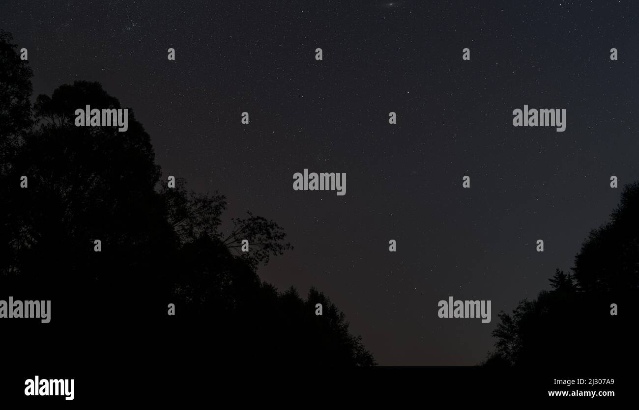 Silhouetten von Bäumen mit Nachthimmel und vielen Sternen - Region in der Nähe des Sternbildes Andromeda - Hintergrund Stockfoto