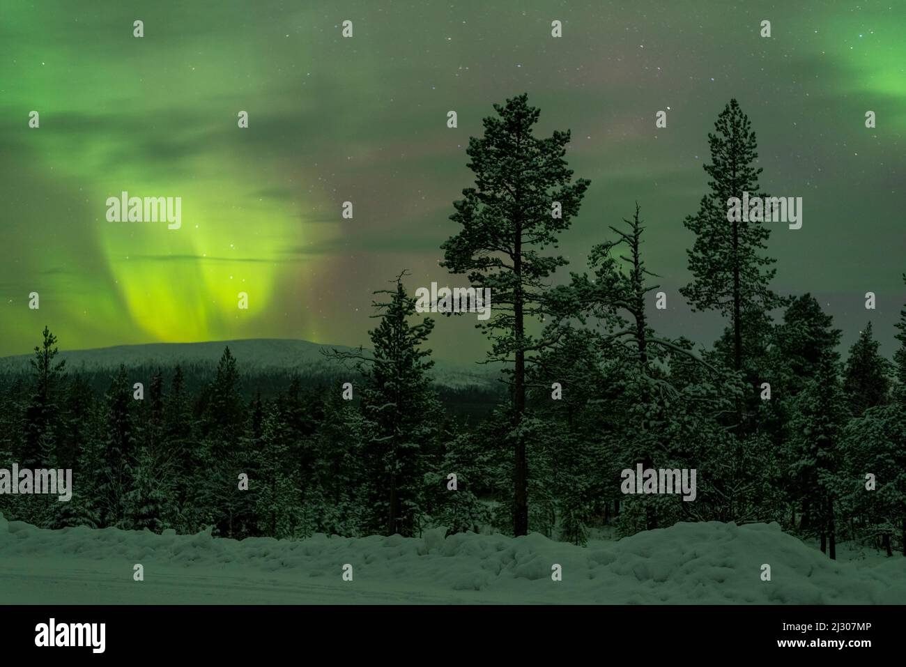 Nordlichter, Nordlichter, Pallastunturi, Muonio, Lappland, Finnland Stockfoto