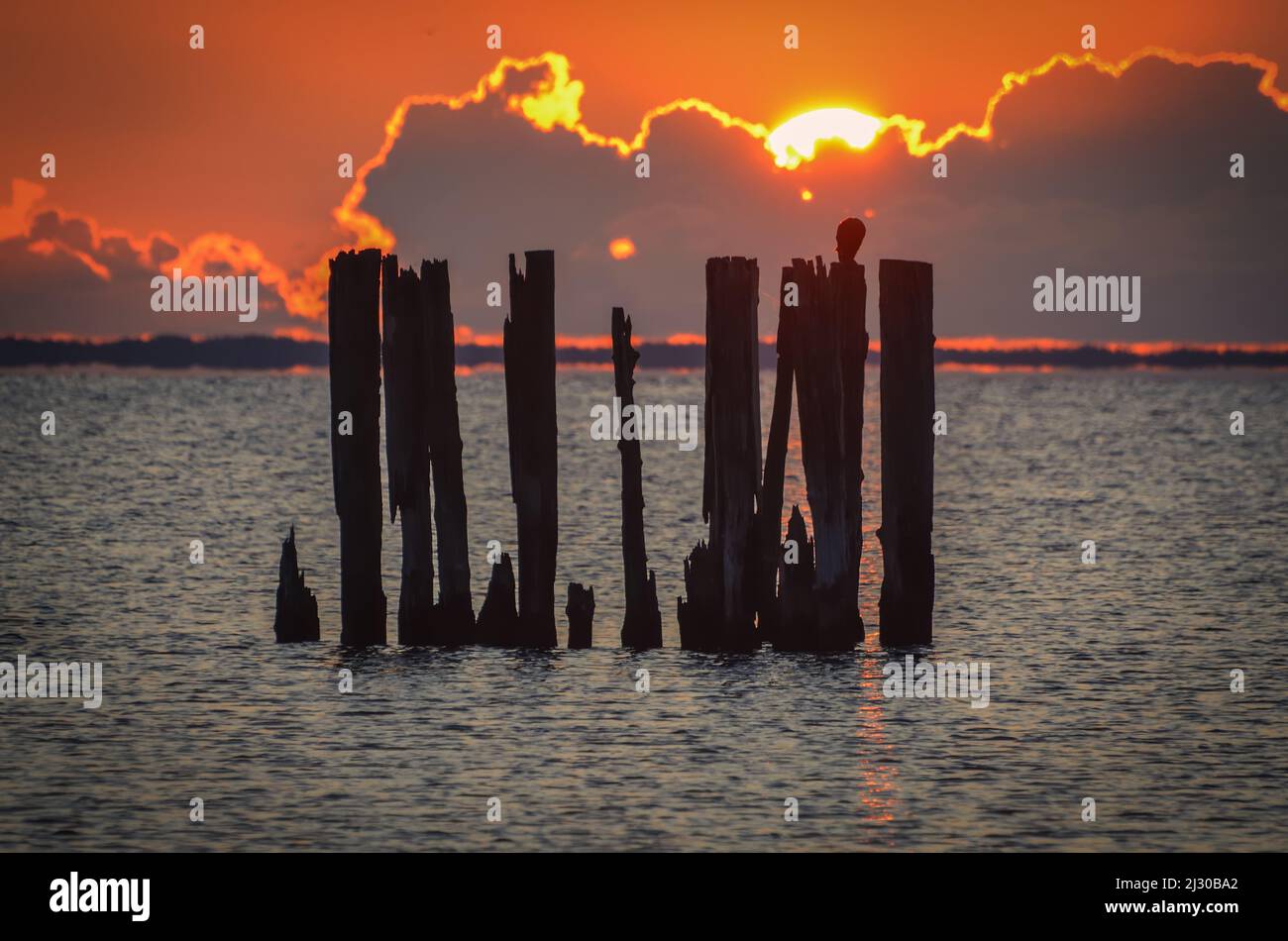 Wunderschöner Blick auf das Meer am Abend. Holzballen an der polnischen Küste mit der Abendsonne im Hintergrund. Stockfoto