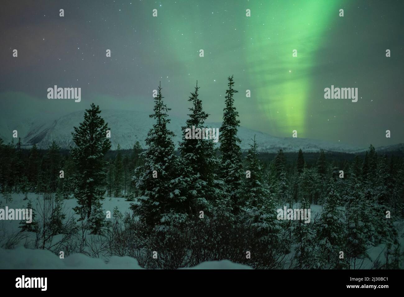 Nordlichter, Nordlichter, Pallastunturi, Muonio, Lappland, Finnland Stockfoto