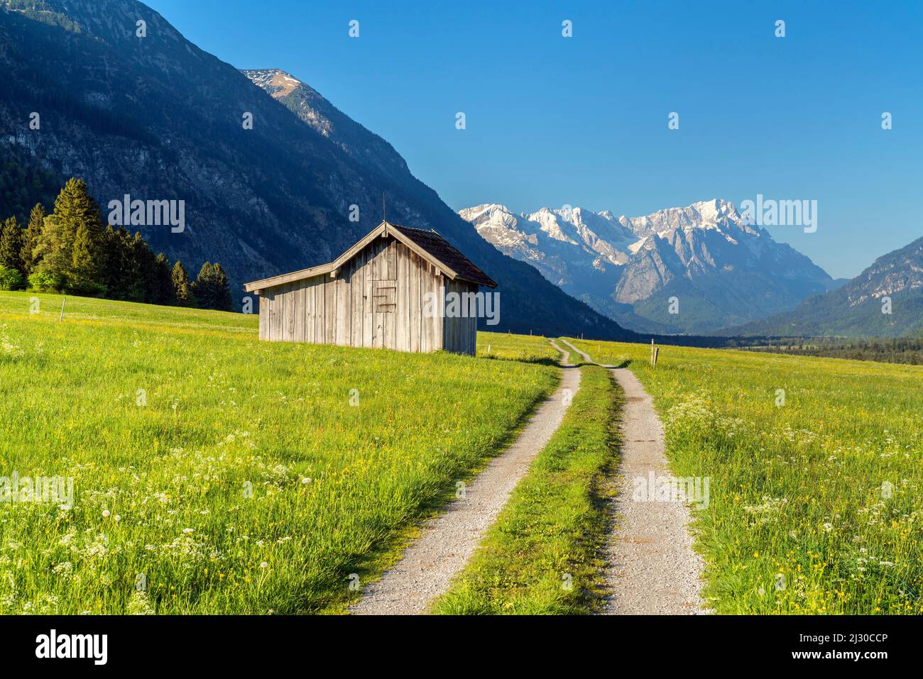 Weg vor dem Wettersteingebirge mit Zugspitze (2.962 m), Eschenlohe, Oberbayern, Bayern, Deutschland Stockfoto