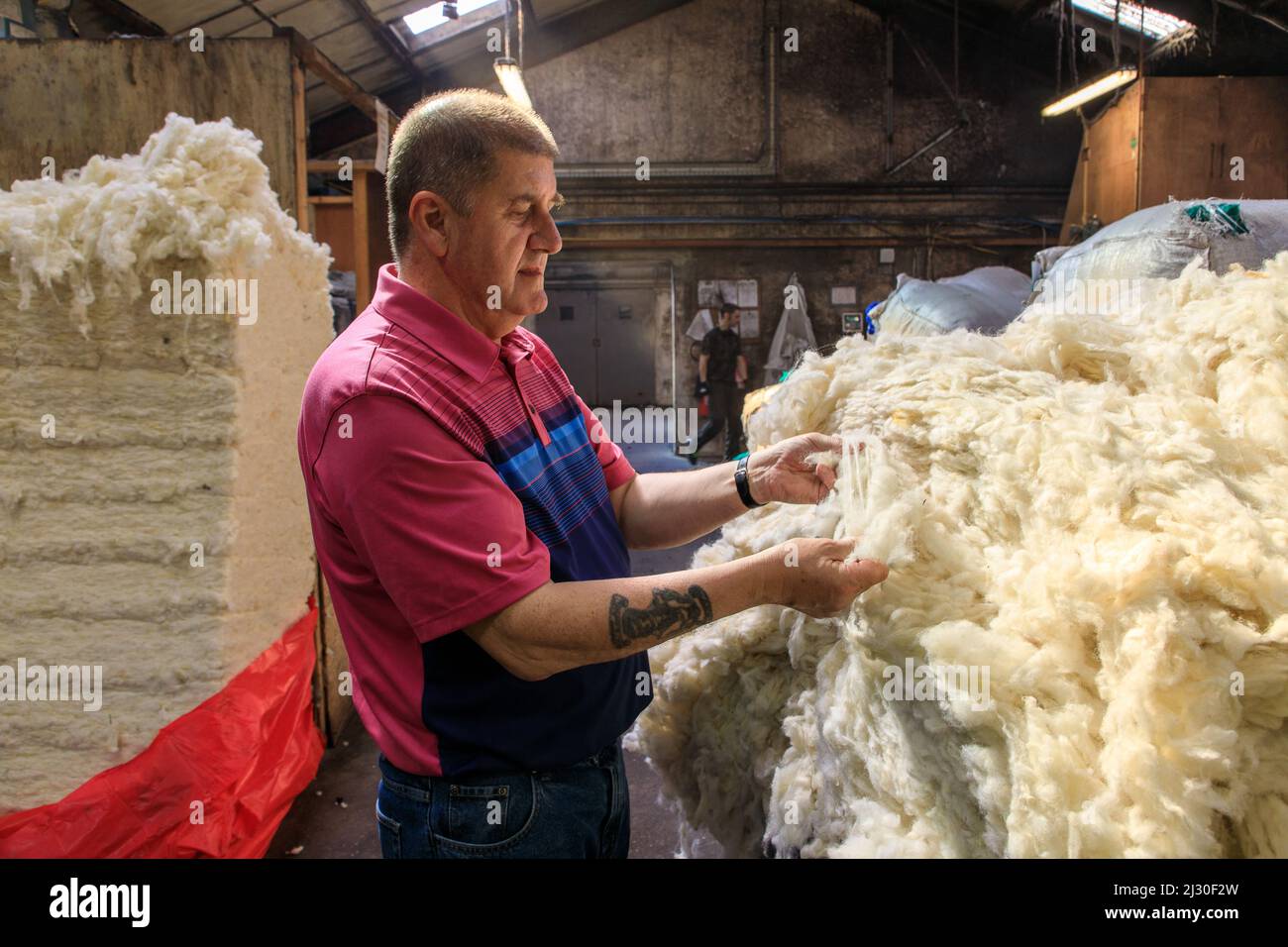 Unbehandelte Wolle, Harris Tweed-Produktion in Shawbost Mill, Isle of  Lewis, Äußere Hebriden, Schottland, Großbritannien Stockfotografie - Alamy