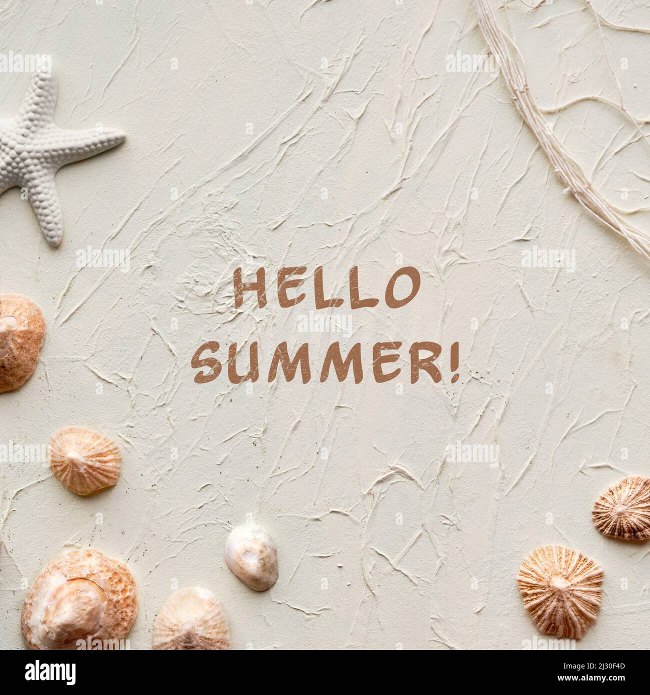 Text Hallo Sommer. Weißer Hintergrund mit Seesternen, Muscheln, Muscheln und Fischernetz auf cremebeige und weißem Hintergrund. Stockfoto