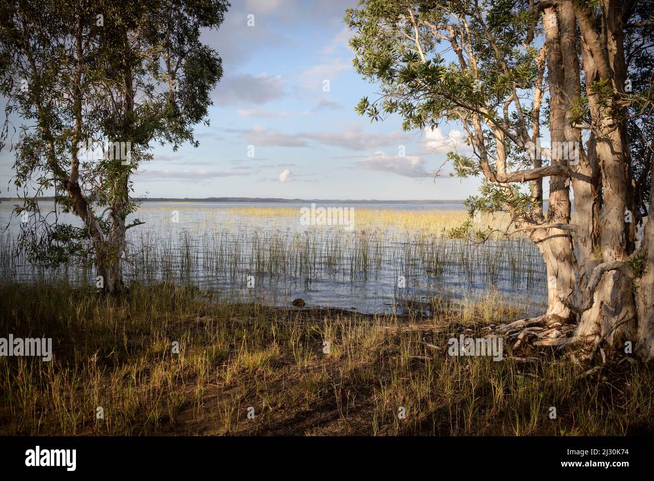 Lake Farihy Ampitabe, Canal des Pangalanes, Madagaskar, Afrika Stockfoto