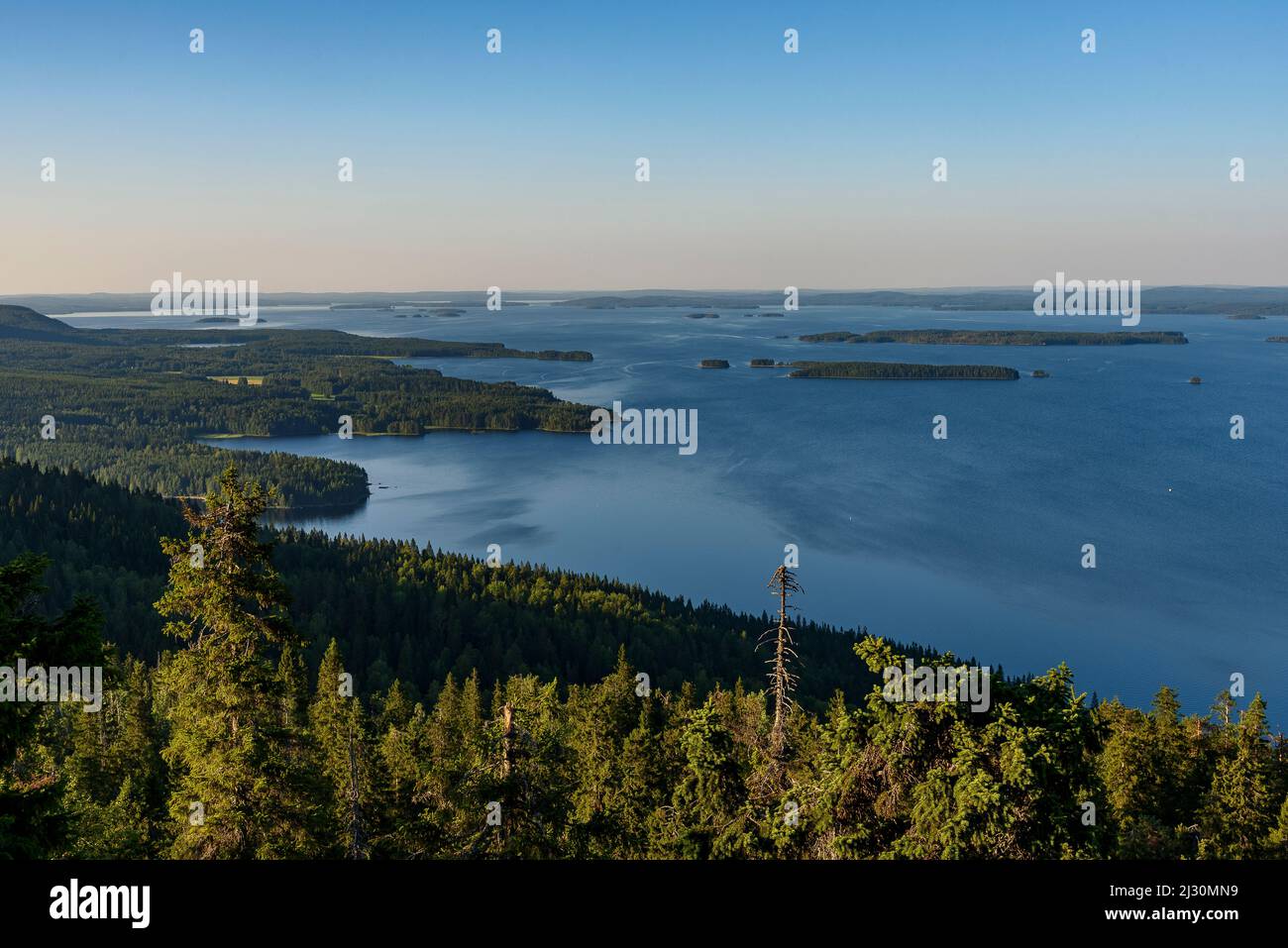 Blick vom Koli-Berg, Finnland Stockfoto