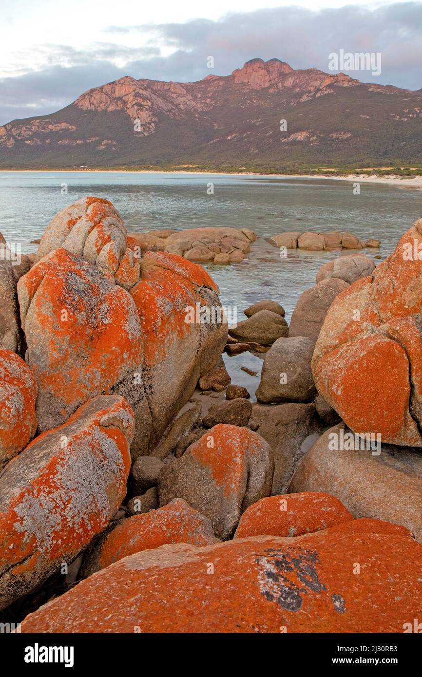 Fotheringate Bay und Strzelecki Peaks, Flinders Island Stockfoto