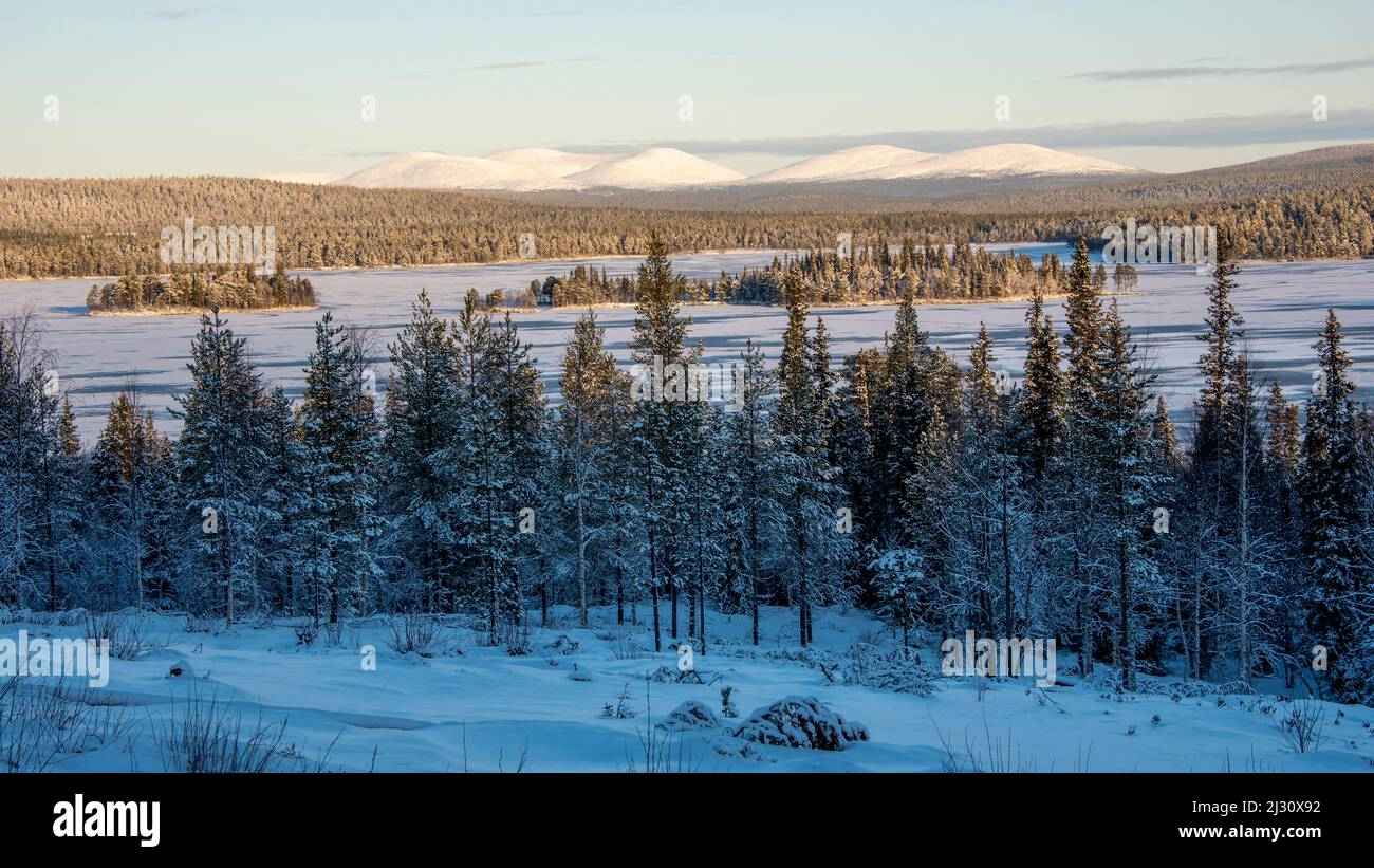 Blick von Särkitunturi auf den Pallastunturi Muonio, Lappland, Finnland Stockfoto