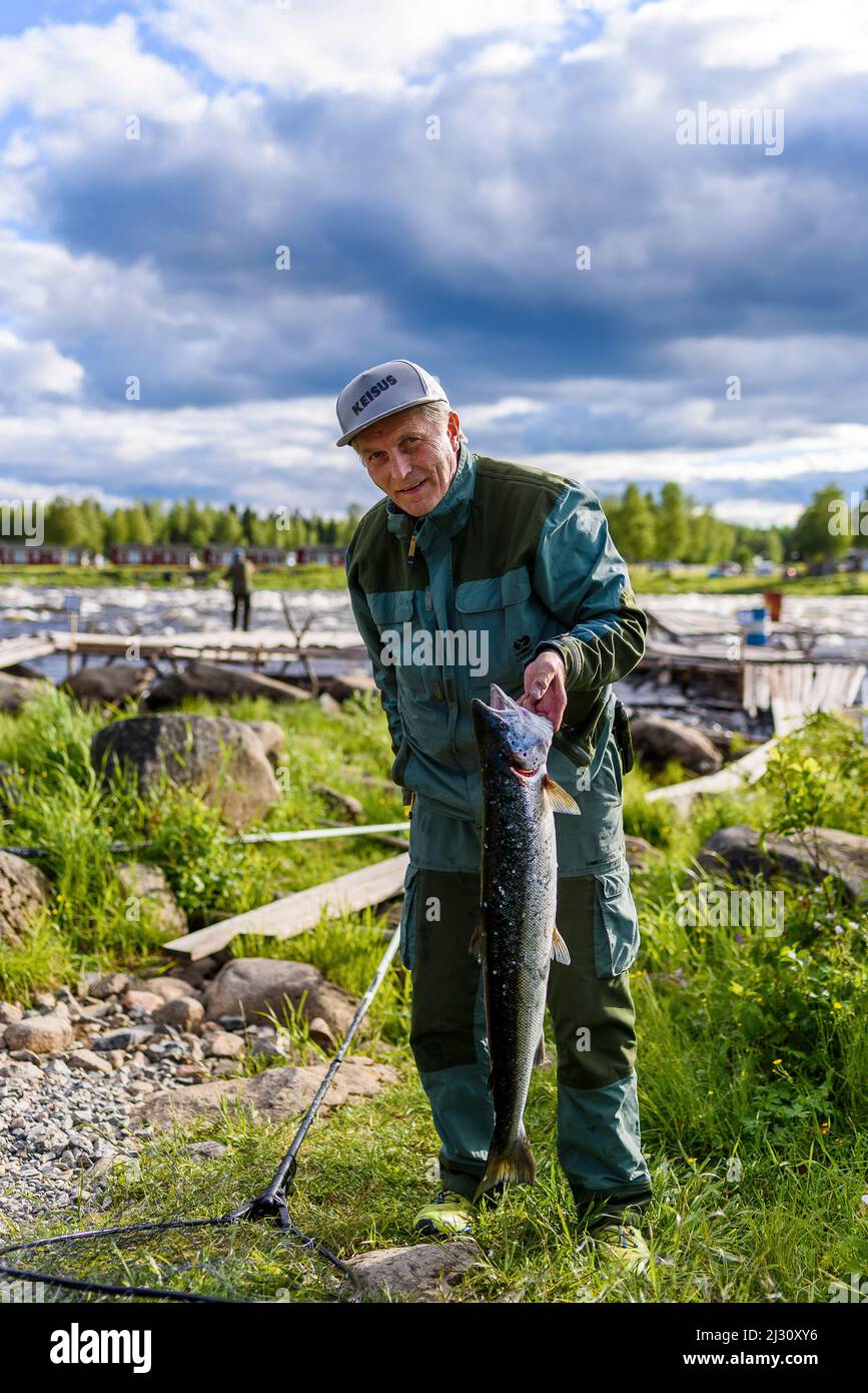 Traditionelle lokale Fischerei mit langen Netzen. Stromschnellen von Kukkolankoski am Torne ELV, Tornio, Finnland Stockfoto