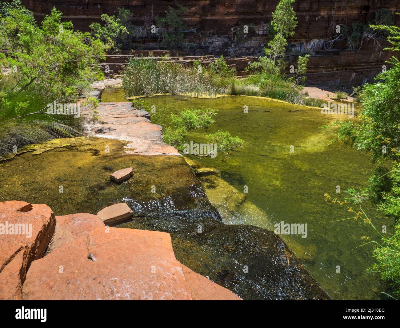 Flache Pools in der Dales Gorge, Karijini-Nationalpark Stockfoto