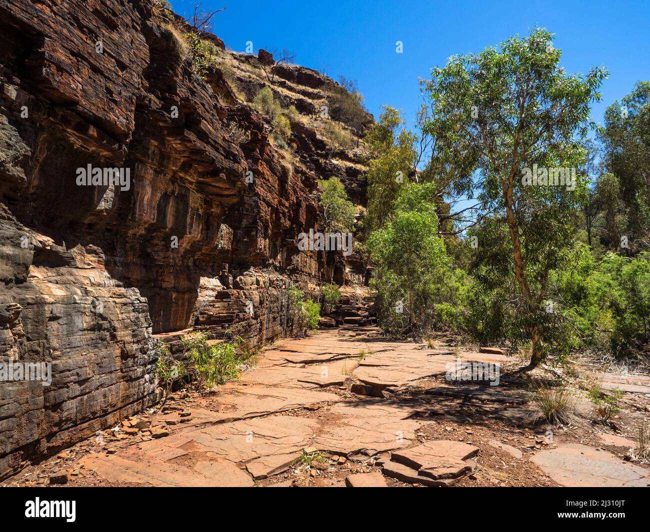 Rote Eisensteinklippen der Dales Gorge, Karijini-Nationalpark Stockfoto