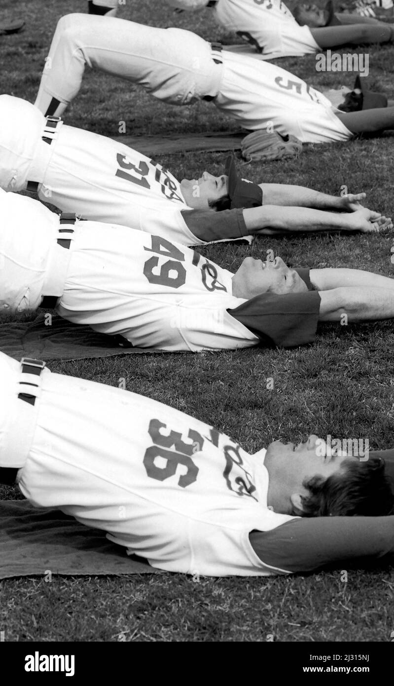 Los Angeles Dodgers-Spieler beim Vorsaison-Training im Dodger Stadium in Los Angeles, CA Stockfoto