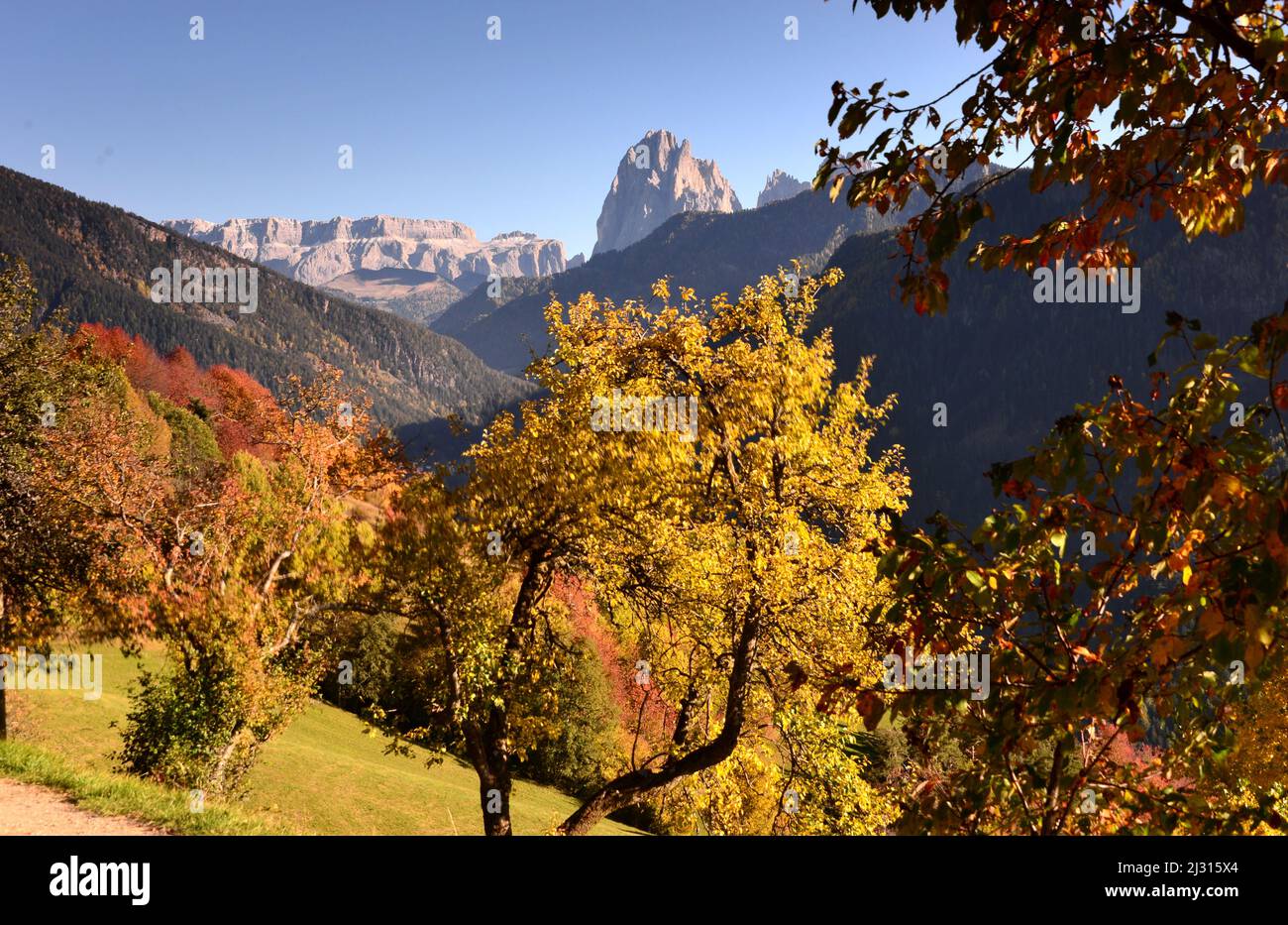 Blick auf das Grödnertal von Lajen mit Langkofel und Sella, Südtirol, Italien Stockfoto