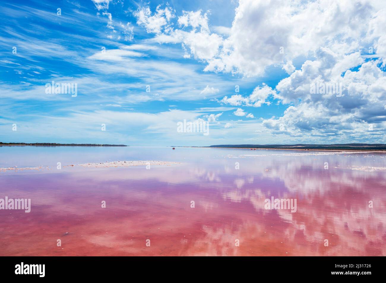 Weiße Wolken spiegeln sich in der Hutt Lagoon wider, einer beliebten Touristenattraktion, die auch als Pink Lake, Port Gregory, Western Australia, WA, Australien, bekannt ist Stockfoto