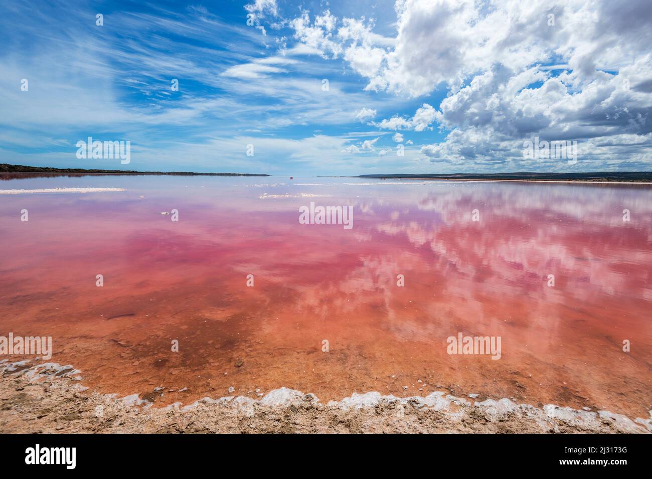 Wolken spiegeln sich in der Hutt Lagoon, einer beliebten Touristenattraktion, die auch als Pink Lake, Port Gregory, Western Australia, WA, Australien, bekannt ist Stockfoto