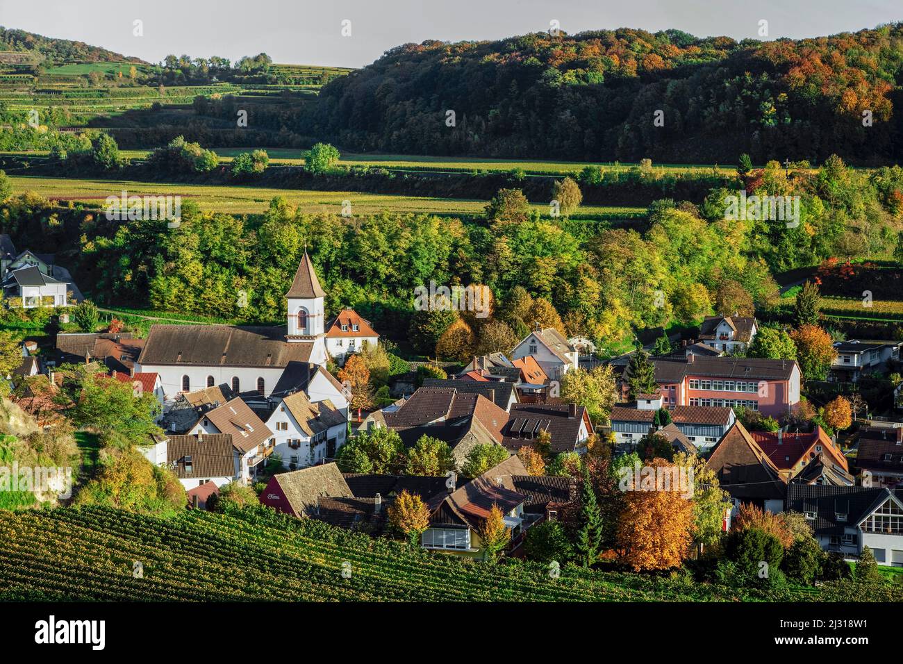 Achkarren Im Herbst, Kaiserstuhl, Baden-Württemberg Stockfoto