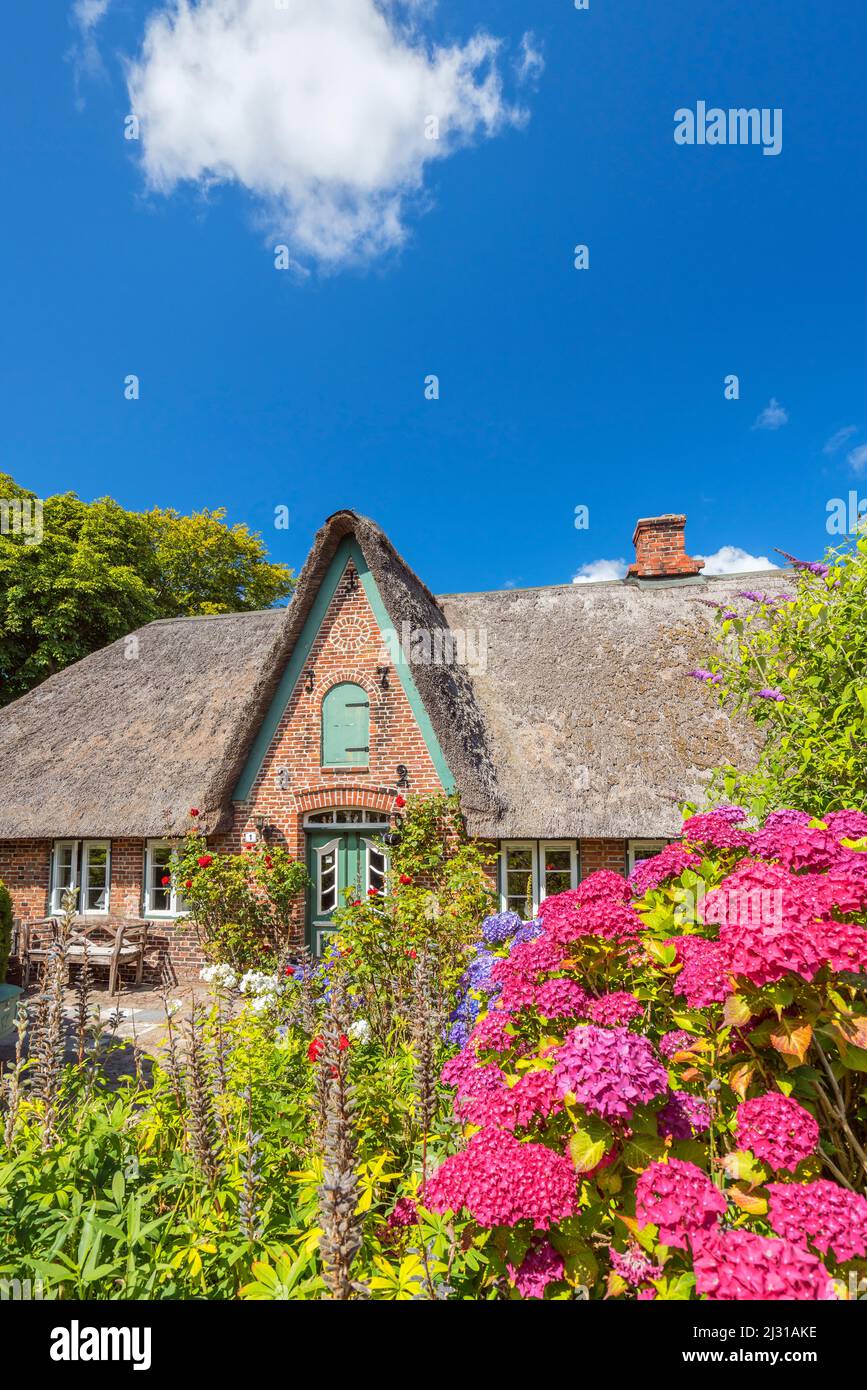 Friesisches Haus in Keitum, Insel Sylt, Schleswig-Holstein, Deutschland Stockfoto