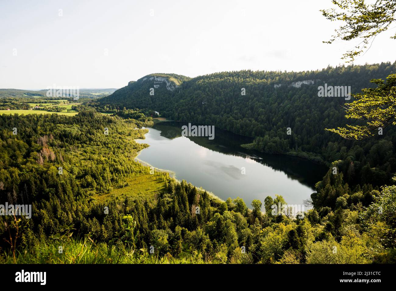 Lakescape, Lac de Bonlieu, Champagnole, Jura Department, Bourgogne-Franche-Comté, Jura Region, Frankreich Stockfoto
