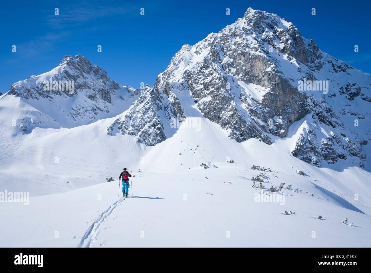 Skitourengeher ziehen im Tiefschnee eine Aufstiegsstrecke zum Tajakopf in Ehrwald, blauer Himmel bei Sonnenschein Stockfoto