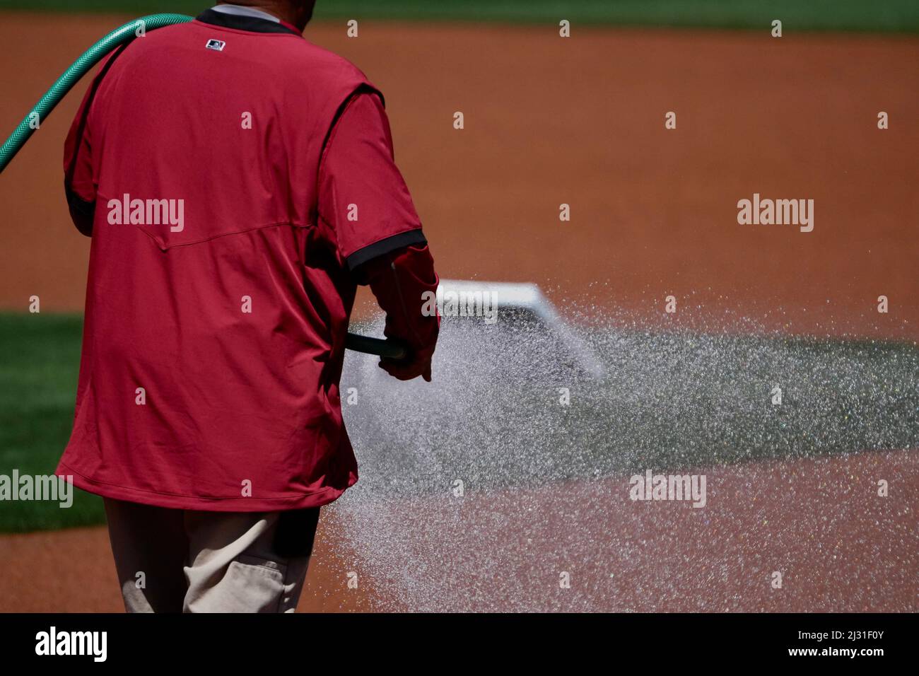 Ein Platzwart sprüht vor einem Spiel Wasser auf den Feldschotter eines Baseballdiamanten. Stockfoto