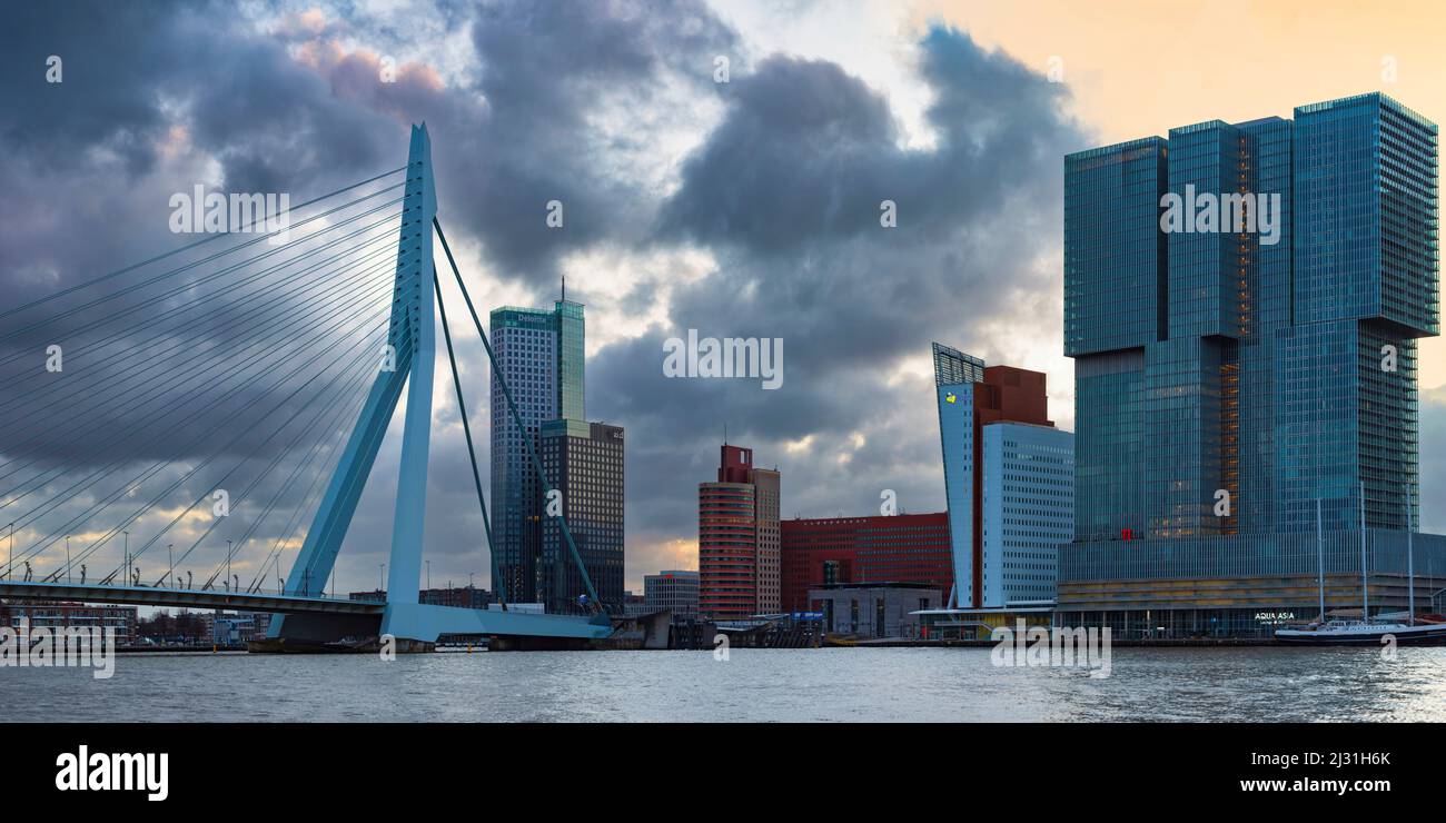 Nieuwe Maas mit Erasmus-Brücke und Wolkenkratzern, Rotterdam, Südholland, Niederlande, Europa Stockfoto