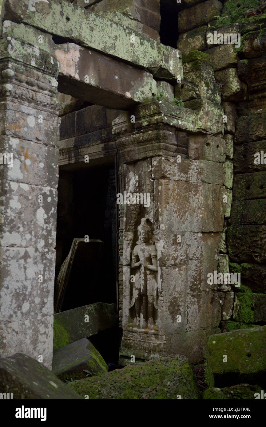 Apsara-Figur auf einer Wand auf dem Ta Prohm Tempelgelände in Siem Reap, Kambodscha. Einst als Drehort für einen Hollywood-Film von 2001 verwendet Lara Croft: Tomb Raider mit Angelina Jolie und vor allem bekannt für seine riesigen Wurzeln aus wilden Bäumen, die tief zwischen den Steinen verwurzelt sind, war Ta Prohm ein Kloster für Studenten des Mahayana-Buddhismus, bevor es verlassen und für Hunderte von Jahren vergessen wurde. Stockfoto