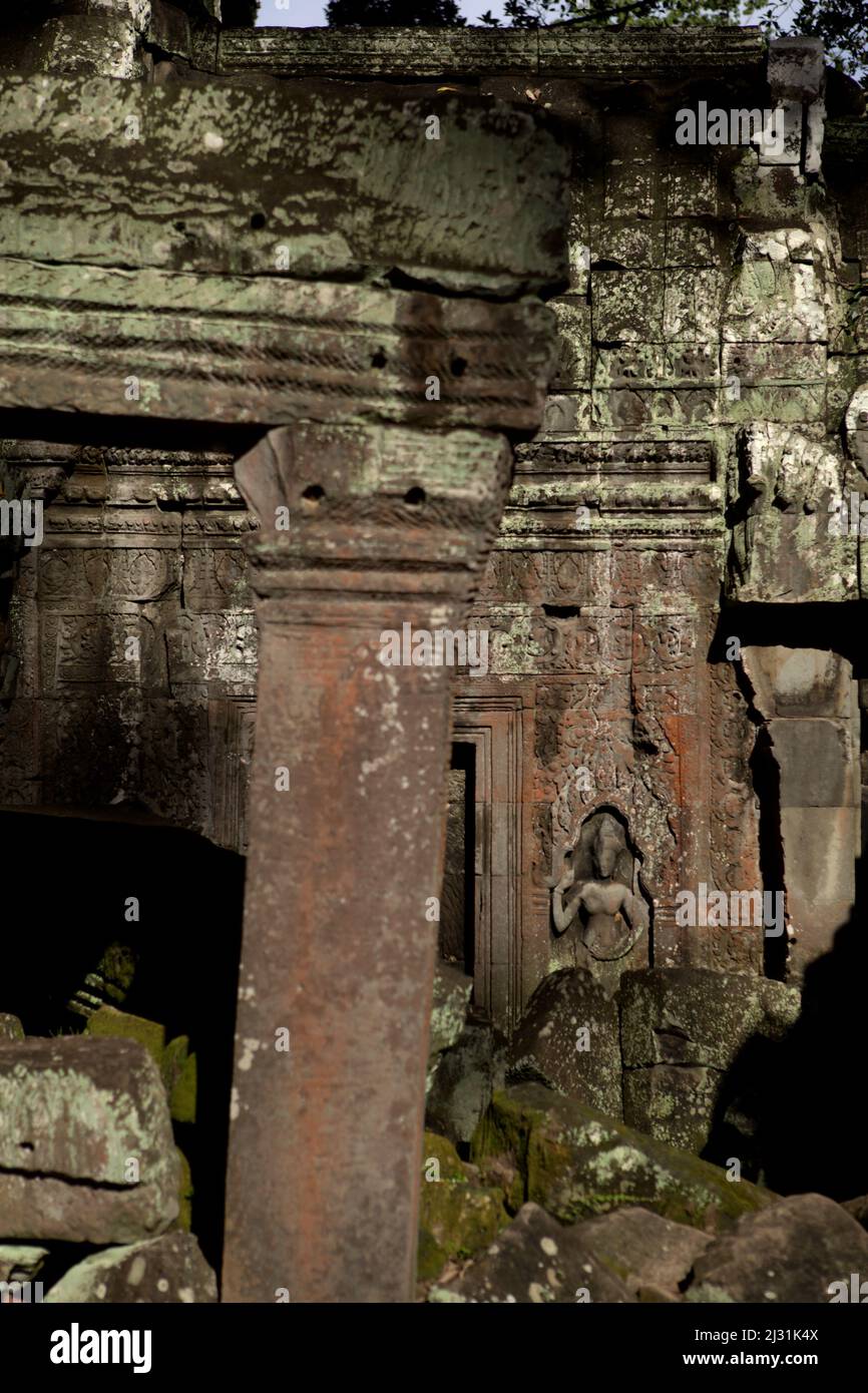 Apsara-Figur auf einer Wand auf dem Ta Prohm Tempelgelände in Siem Reap, Kambodscha. Einst als Drehort für einen Hollywood-Film von 2001 verwendet Lara Croft: Tomb Raider mit Angelina Jolie und vor allem bekannt für seine riesigen Wurzeln aus wilden Bäumen, die tief zwischen den Steinen verwurzelt sind, war Ta Prohm ein Kloster für Studenten des Mahayana-Buddhismus, bevor es verlassen und für Hunderte von Jahren vergessen wurde. Stockfoto