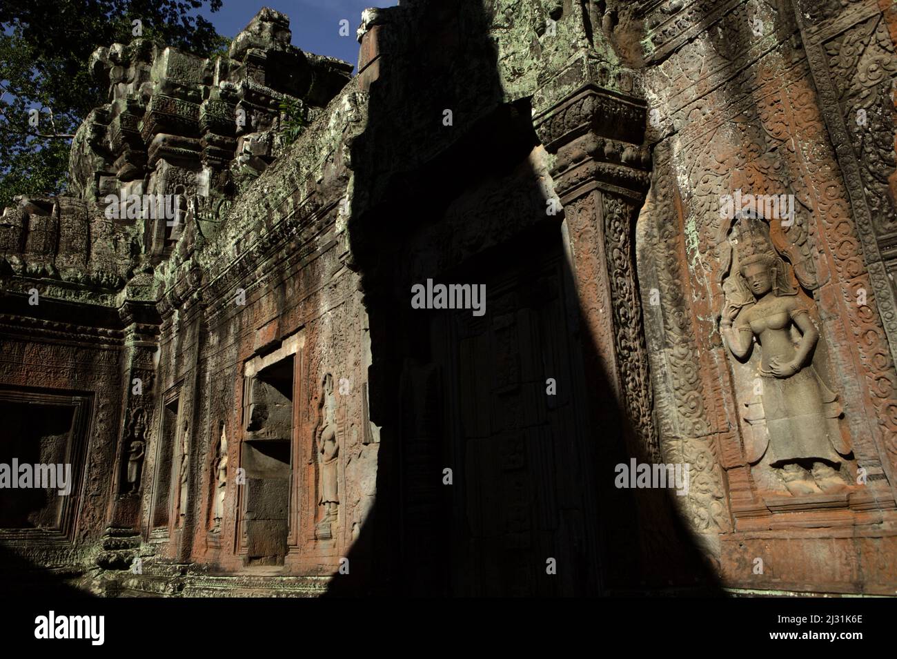 Apsara-Figur auf einer Wand auf dem Ta Prohm Tempelgelände in Siem Reap, Kambodscha. Einst als Drehort für einen Hollywood-Film von 2001 verwendet Lara Croft: Tomb Raider mit Angelina Jolie und vor allem bekannt für seine riesigen Wurzeln aus wilden Bäumen, die tief zwischen den Steinen verwurzelt sind, war Ta Prohm ein Kloster für Studenten des Mahayana-Buddhismus, bevor es verlassen und für Hunderte von Jahren vergessen wurde. Stockfoto