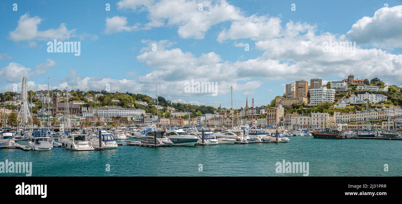 Blick über den Hafen und den Yachthafen von Torquay, Torbay, England, Großbritannien Stockfoto