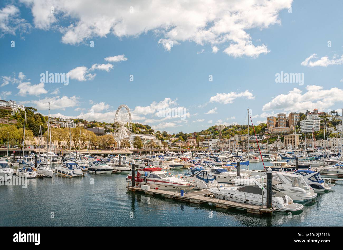 Blick über den Hafen und den Yachthafen von Torquay, Torbay, England, Großbritannien Stockfoto