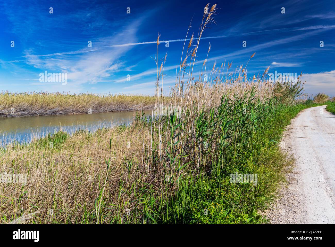 Panoramablick auf den Naturpark Albufera, Valencia, Bundesland Valencia, Spanien Stockfoto