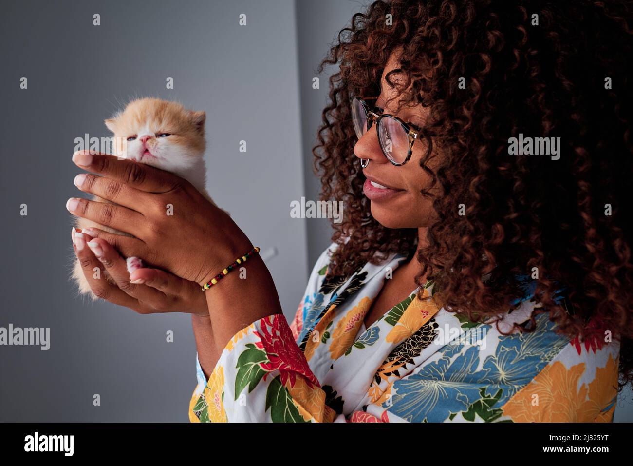 Schwarze Frau, die mit einer kleinen orangenen exotischen Katze spielt Stockfoto