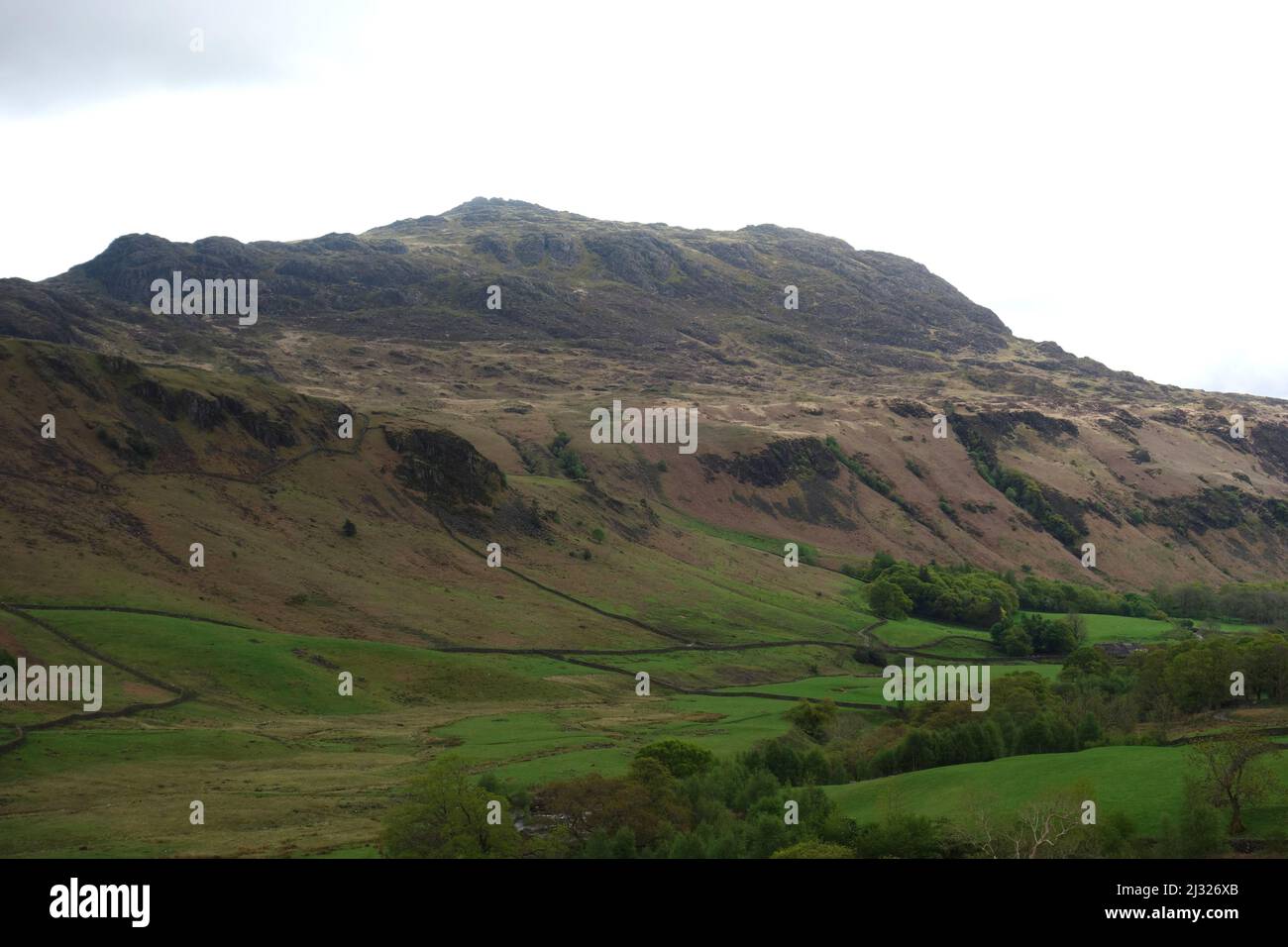 Der Wainwright 'harter Fell' im Eskdale Valley im Lake District National Park, Cumbria, England, Großbritannien. Stockfoto