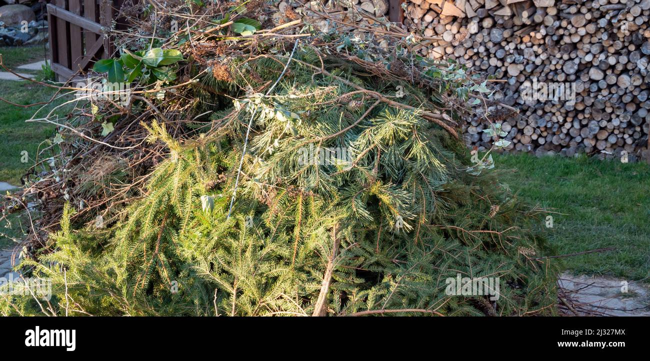 Gartenabfälle stapeln sich zum Brennen Stockfoto