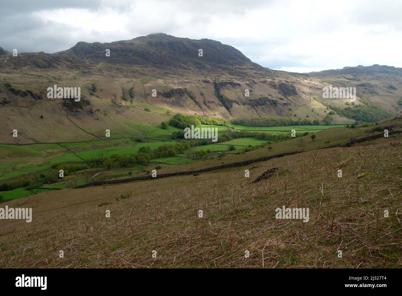 Der Wainwright 'harter Fell' im Eskdale Valley im Lake District National Park, Cumbria, England, Großbritannien. Stockfoto